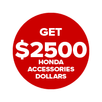 PIONEER 1000-6 Deluxe Crew PIONEER 1000-6 Deluxe Crew