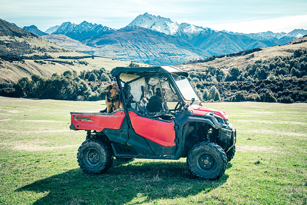 50_Years_Microsite_Landing_Page_Farm