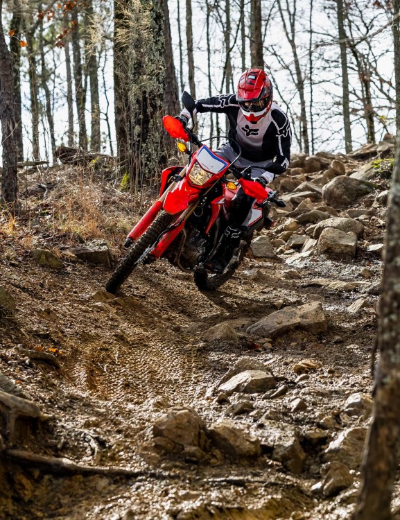 crf300l-product-page-hero-mobile-1600x2080-v2