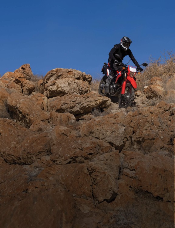 Disc Brakes with ABS